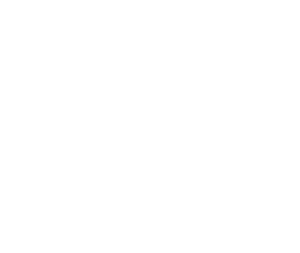 Astoria ACES